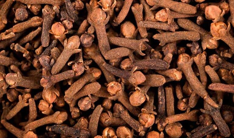 CLOVES